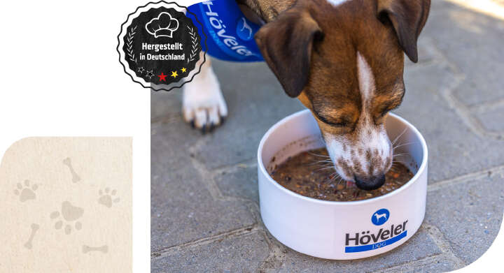 hoeveler dog teaser verdauung hoeveler dog teaser verdauung